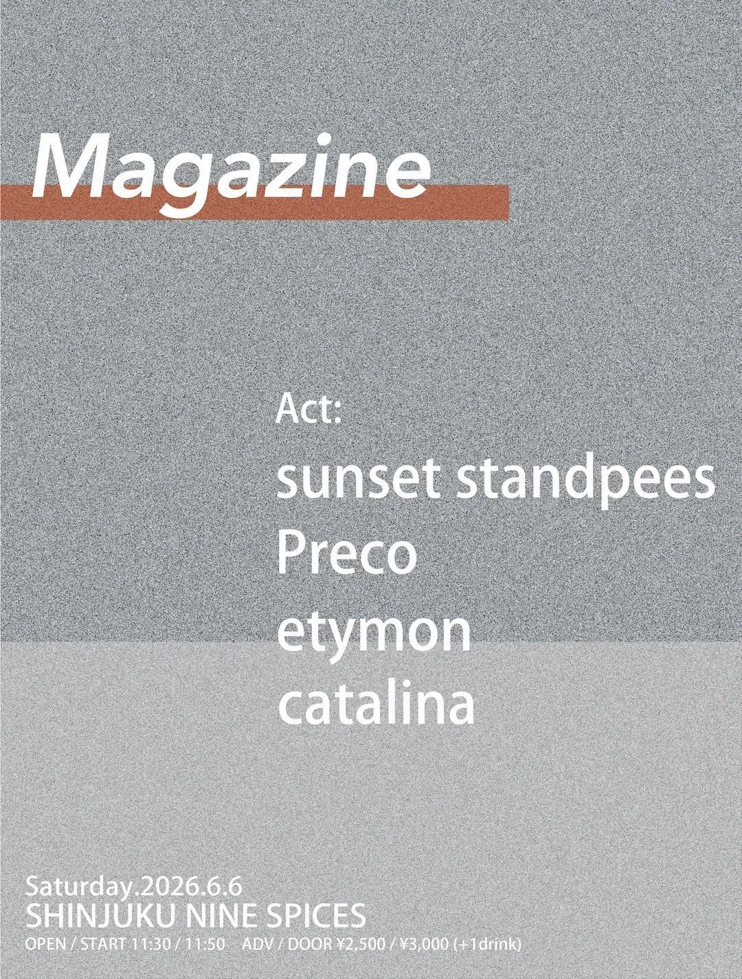 Magazine Flyer
